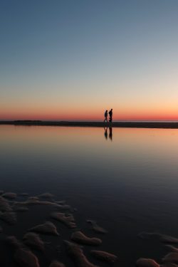 two person standing on beach dock