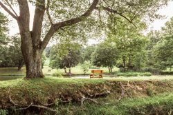A park bench sitting next to a river